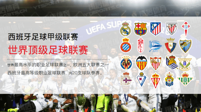 30吨植物油精炼设备